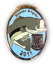 2011 Pin